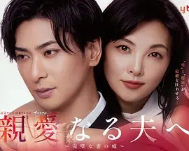 致亲爱的丈夫~完美妻子的谎言~(全集)